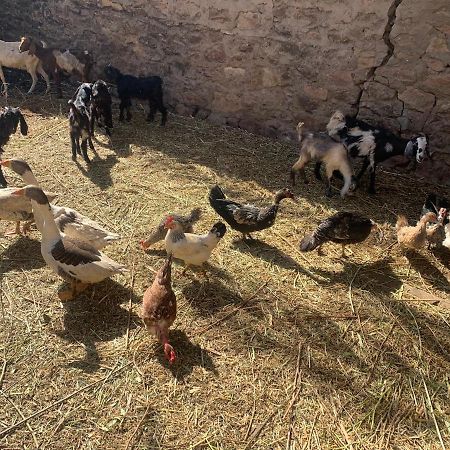Nubian Farm Aswan Villa Екстериор снимка