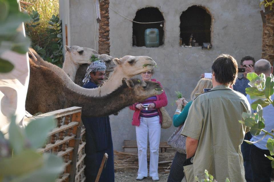 Nubian Farm Aswan Villa Екстериор снимка