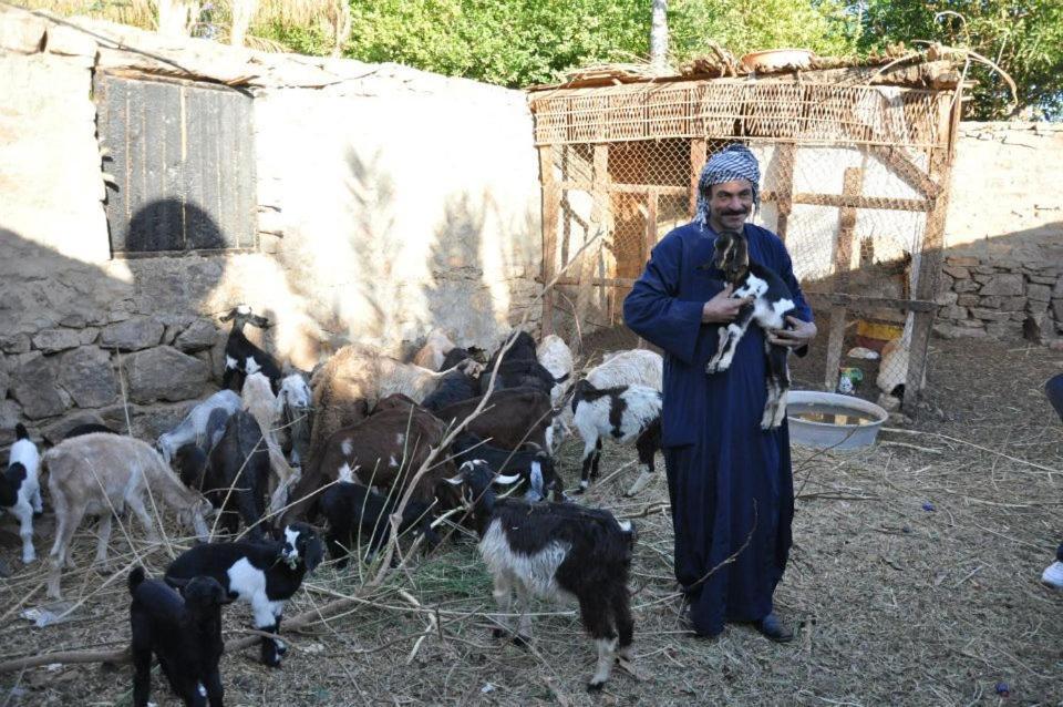 Nubian Farm Aswan Villa Екстериор снимка
