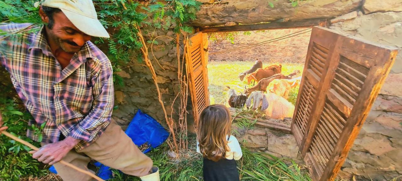 Nubian Farm Aswan Villa Екстериор снимка