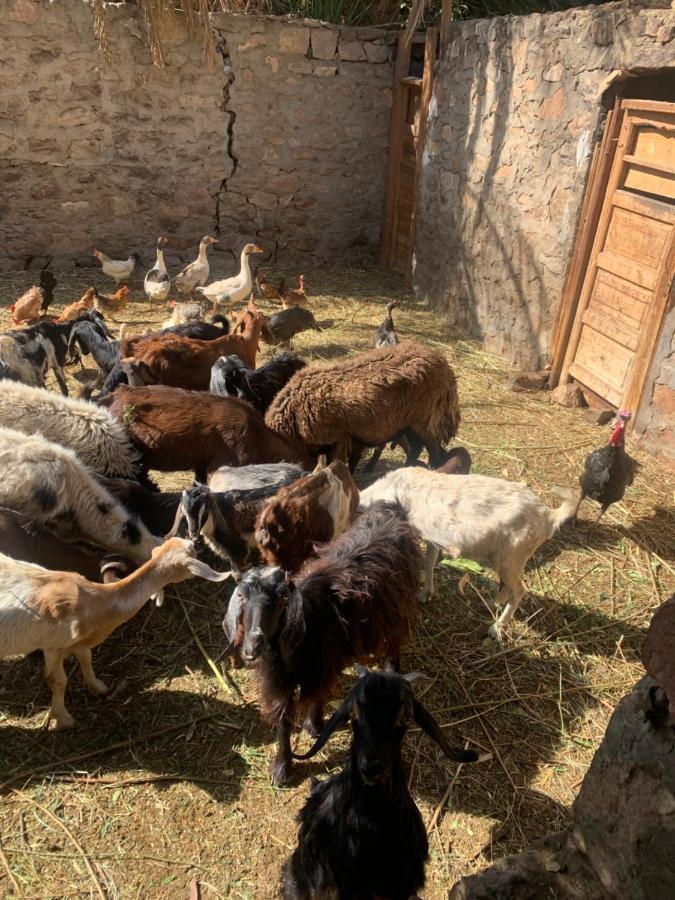 Nubian Farm Aswan Villa Екстериор снимка