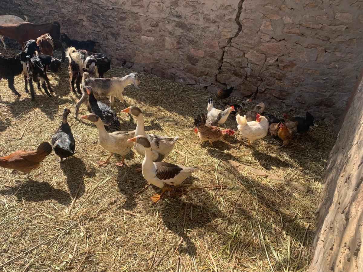 Nubian Farm Aswan Villa Екстериор снимка
